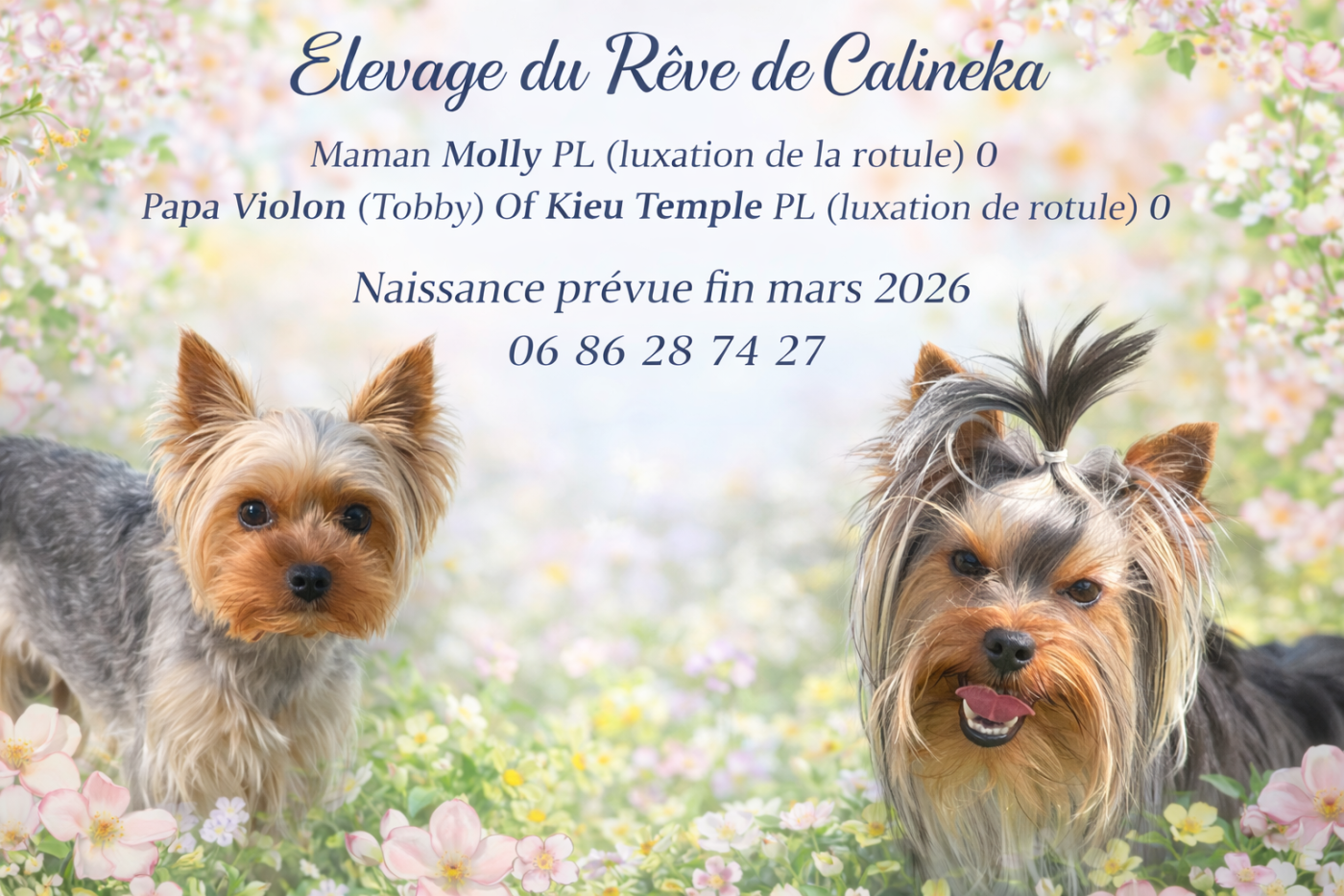 Des Bébés Pour Fin Mars 2026